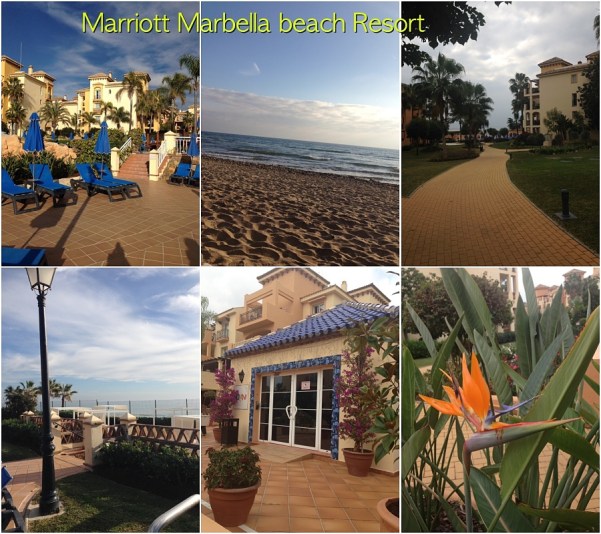 Marriott collage